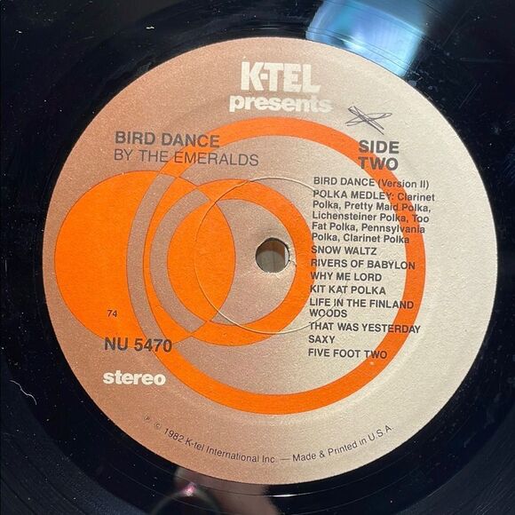 Black and Yellow Bird Dance Vinyl Record - Picture 4 of 6